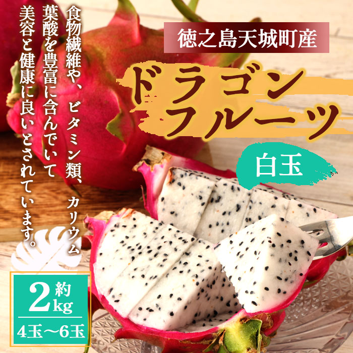 【2026年発送分】ご家庭用 徳之島 天城町産ドラゴンフルーツ 白色 約2kg ピタヤ AJ-35 マイナビ