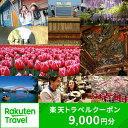 【ふるさと納税】新潟県の対象施設で使える楽天トラベルクーポン 寄付額30,000円