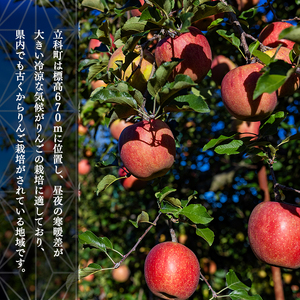 サンふじ・ぐんま名月ミックス（約５㎏、優13～18玉）　