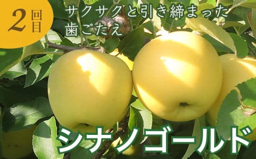 柑橘のような爽やかさ、硬くサクサクの歯ごたえが特徴のシナノゴールド。