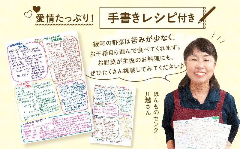 日時指定可能！本日のお野菜セット（サイズ小）【全６回定期便】