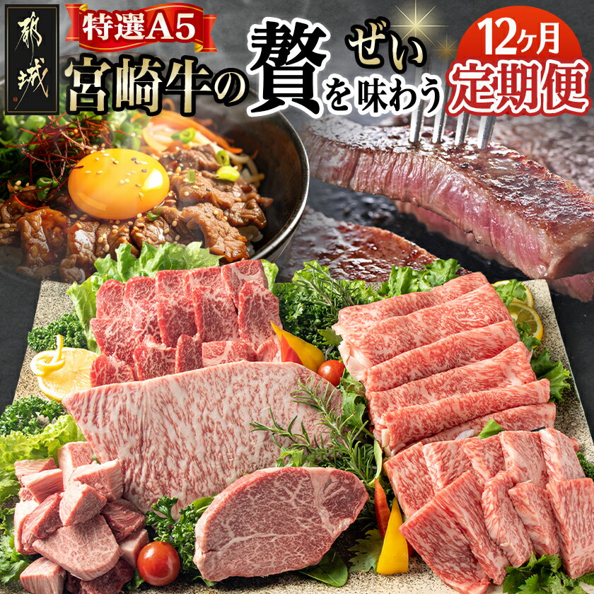 【ふるさと納税】特選(A5)宮崎牛の贅を味わう（12ヶ月定期便） - 宮崎牛 5等級 12ヶ月定期便 サーロイン芯スライス モモスライス シャトーブリアンステーキ 特上モモステーキ ロース焼肉用 ヒレステーキ 送料無料 TAH12-0102【宮崎県都城市は2年連続ふるさと納税日本一！】
