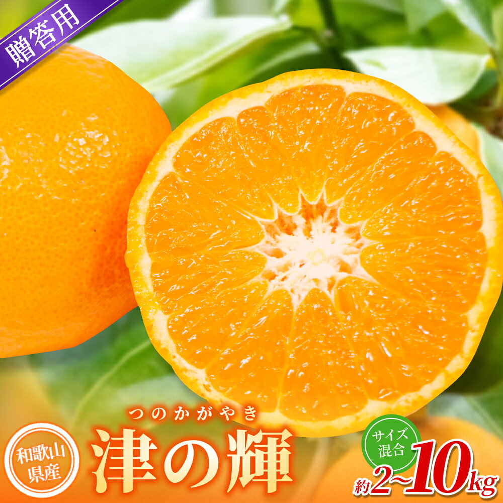 【ふるさと納税】 【贈答用】 森本農園の手選別 津の輝 約2kg 約3kg 約5kg 約10kg 和歌山県産 L～2Lサイズ 【北海道・沖縄・離島配送不可】【2027年2月上旬～2027年4月中旬頃に順次発送】