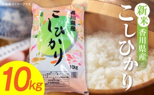 【令和7年産】香川県産こしひかり 10kg（紙袋配送）|新米 コシヒカリ こしひかり 10kg 米 白米 ごはん ご飯 朝食 白ご飯 おにぎり お弁当 おむすび お米 国産 美味しい ツヤ モチモチ 精米 おすすめ 香川県 三木町 |_mk132-110-02