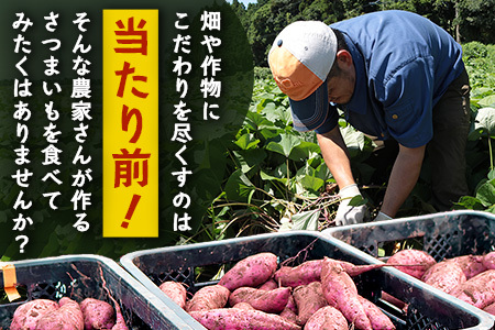 さつまいも 熟成 紅はるか 4.5kg ( 500g × 9袋 ) SSサイズ 鹿児島県産 先行予約 2025年1月より順次発送