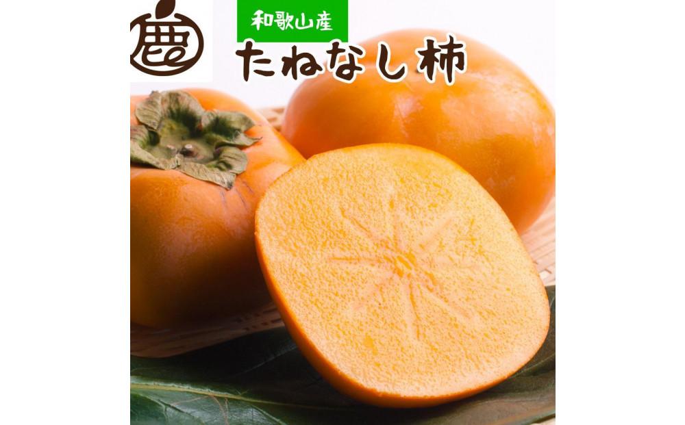 ＜10月より発送＞たねなし柿 約4kg［刀根早生・平核無柿（ひらたねなしかき）］［カキ・種無柿・種無し柿・種なし柿・無核柿］［IKE96］ 303446_BB90172