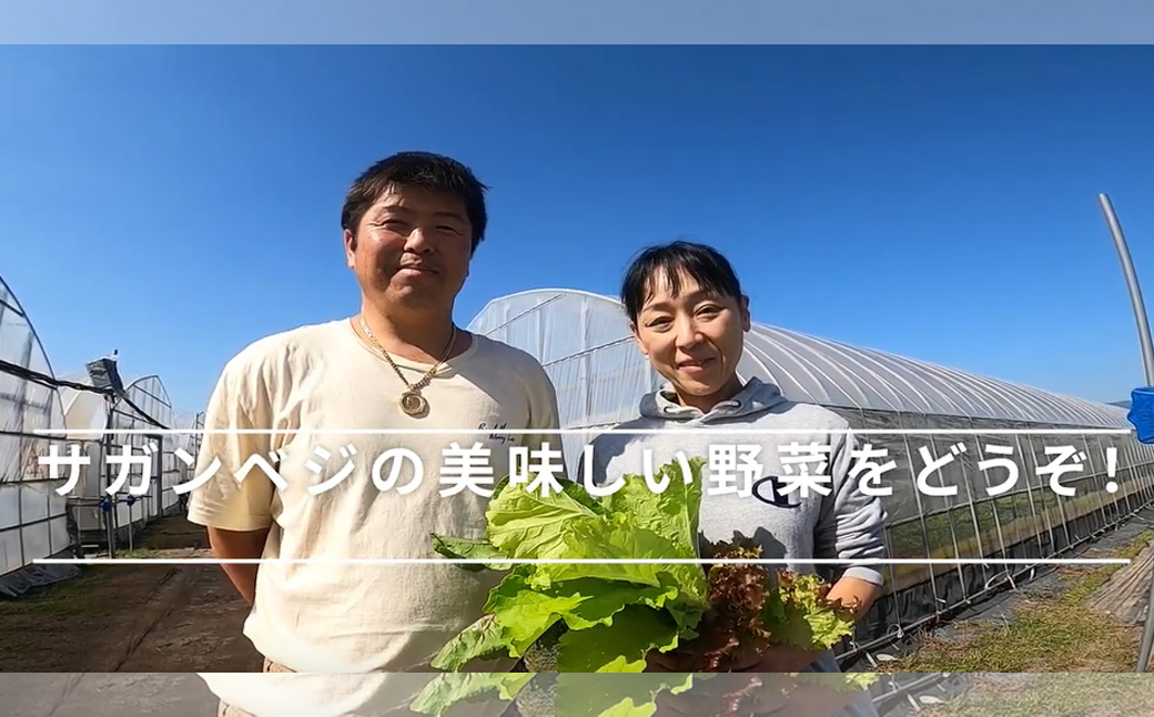 CQ020_【定期便】オーガニック葉物野菜セット【植物性で育