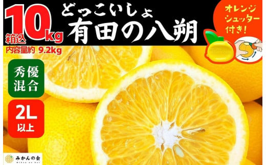 
八朔 (はっさく) 大玉 どっこいしょ 箱込 10kg (内容量約 9.2kg) 秀品 優品 混合 2Lサイズ以上 和歌山県産 産地直送【おまけ付き】【みかんの会】
