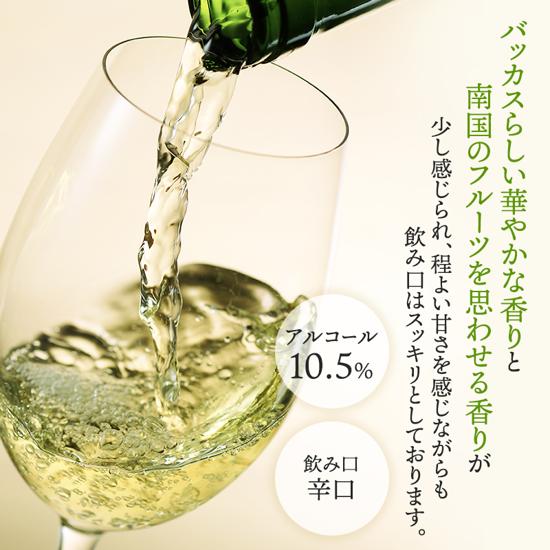 NIKI Hills Winery 白ワイン【 NEIRO 2023 Assemblage 】 750ml ワイン 洋酒