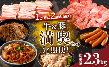 ≪定期便≫＼1か月に2回お届け!!／牛＆豚!!満喫セット【総重量2.3kg】 肉 牛肉 豚肉 おかず 国産_T030-052【人気 肉 ギフト 肉 食品 肉 焼き肉 肉 BBQ 肉 贈り物 肉 おすす