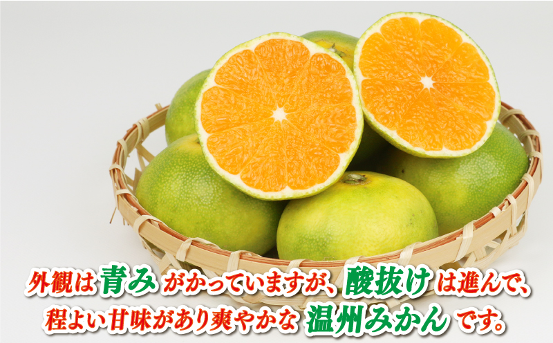 極早生みかん 家庭用 9kg サイズ不揃い 兵頭農園 みかん mikan 愛媛ミカン 愛媛みかん 愛媛蜜柑 極早生 温州みかん 温州 精品 規格外混合 不揃い 果物 くだもの フルーツ 柑橘 蜜柑 産