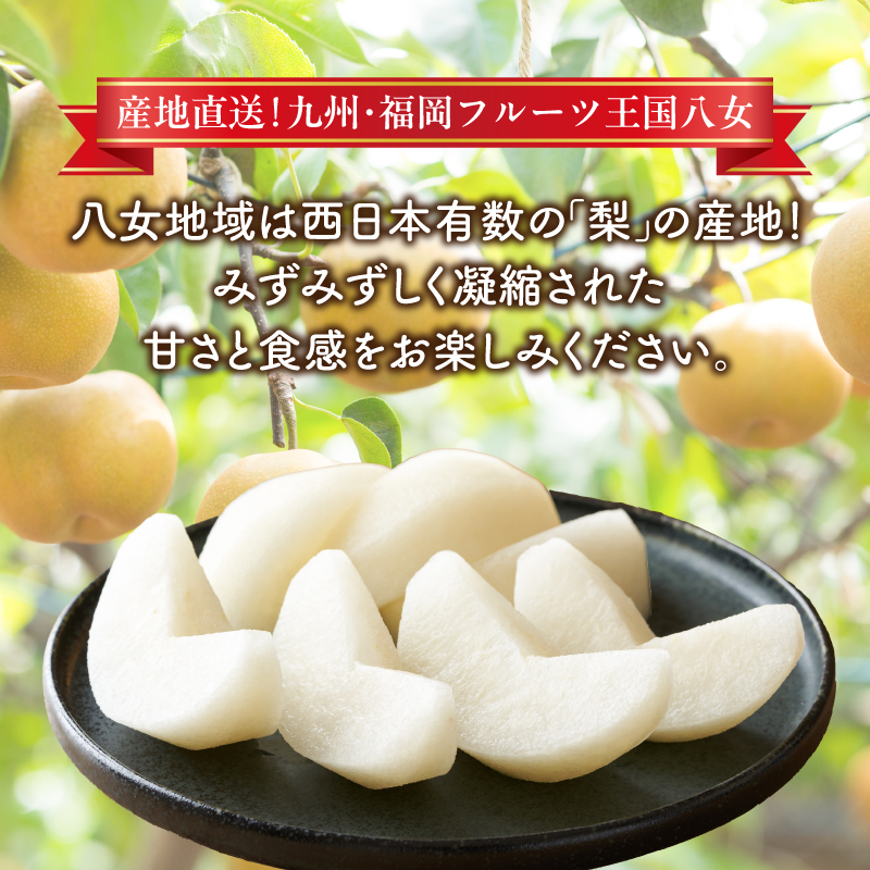 産地直送！ 梨(豊水) 約5kg 【2026年8～9月発送】九州・福岡フルーツ王国八女 ＜配送不可：北海道・沖縄・離島＞ なし ナシ 果物 果実 フルーツ 先行予約 デザート 旬 新鮮 甘い 甘み ジ
