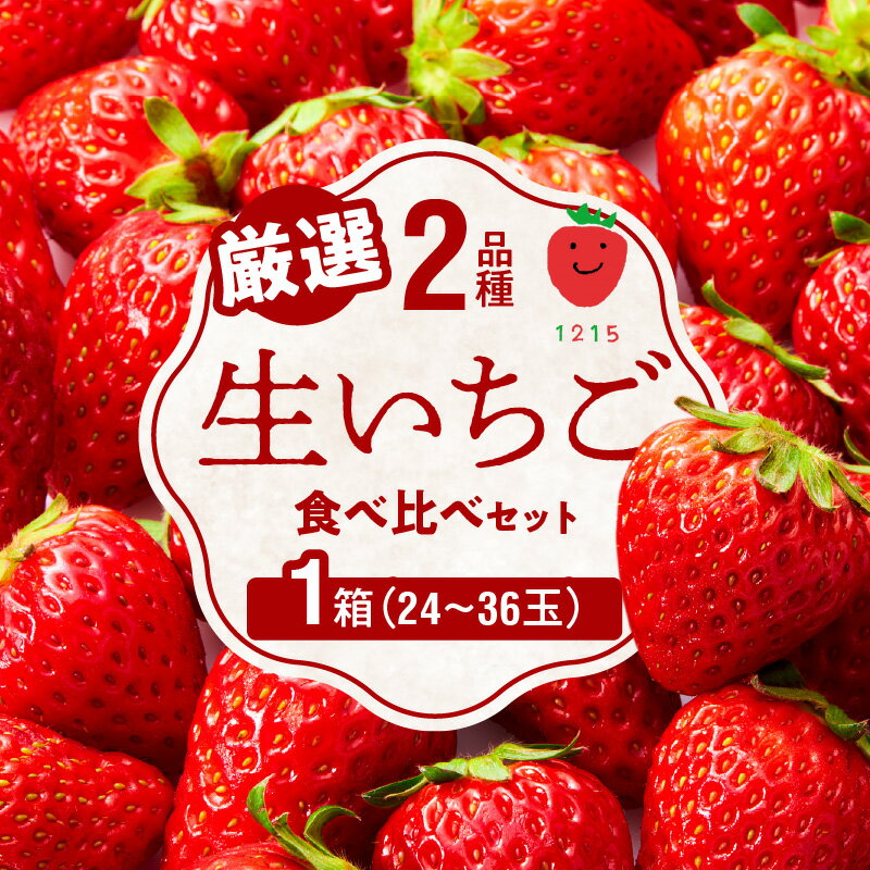 【ふるさと納税】2026年1月から発送開始 いちご 生いちご 厳選 2品種 食べ比べ セット 果物 いちにのいちご園 1箱 フルーツ お取り寄せ お取り寄せフルーツ 手土産 プレゼント 送料無料 食品 宮崎県 延岡市