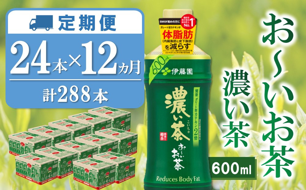 
【12か月定期便】おーいお茶濃い茶 600ml×24本(合計12ケース)【伊藤園 お茶 緑茶 濃い 渋み まとめ買い 箱買い ケース買い カテキン 2倍 体脂肪】J05-C071375
