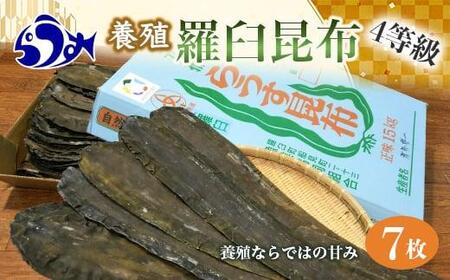 養殖４等羅臼昆布7枚セット(350g~500g)北海道 知床 羅臼産 生産者 支援 応援