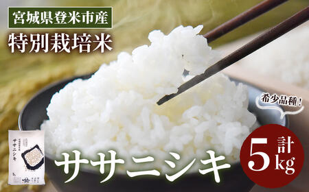 ≪令和7年産≫ 特別栽培米 ササニシキ 5kg (5kg×1袋)  登米市産 お米 おこめ 米 コメ ささにしき 白米 ご飯 ごはん おにぎり お弁当 【登米ライスサービス株式会社】tm156
