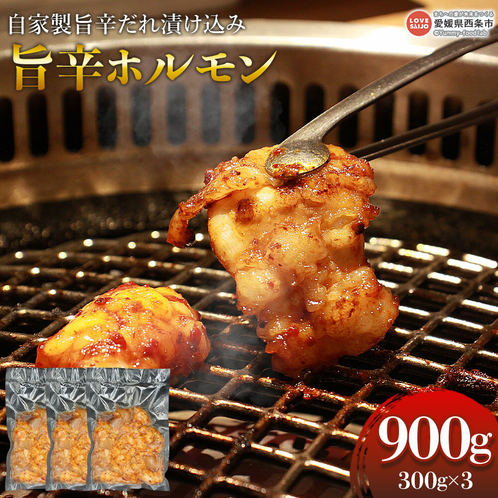 【ふるさと納税】＜自家製旨辛だれ漬け込み旨辛ホルモン 300g×3パック＞※翌月末迄に順次出荷します。 肉 お肉 牛肉 味付け 食品 焼肉 焼き肉 バーベキュー BBQ 鍋 おつまみ 焼くだけ 簡単 お手軽 簡単調理 便利 小分け 有限会社ALWAYS・SMILE 愛媛県 西条市【冷凍】