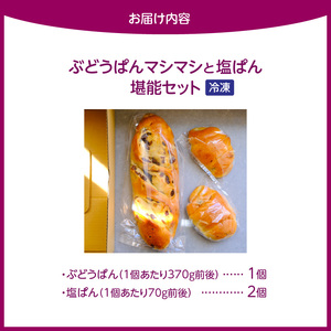 ぶどうぱんマシマシと塩ぱん　堪能セット _ ぶどうぱん 専門店 ぶどぱん 堪能 セット ぶどうぱん 1個 370g前後 塩ぱん × 2個 1個あたり70g前後 レーズン マシマシ しっとり もっちり 