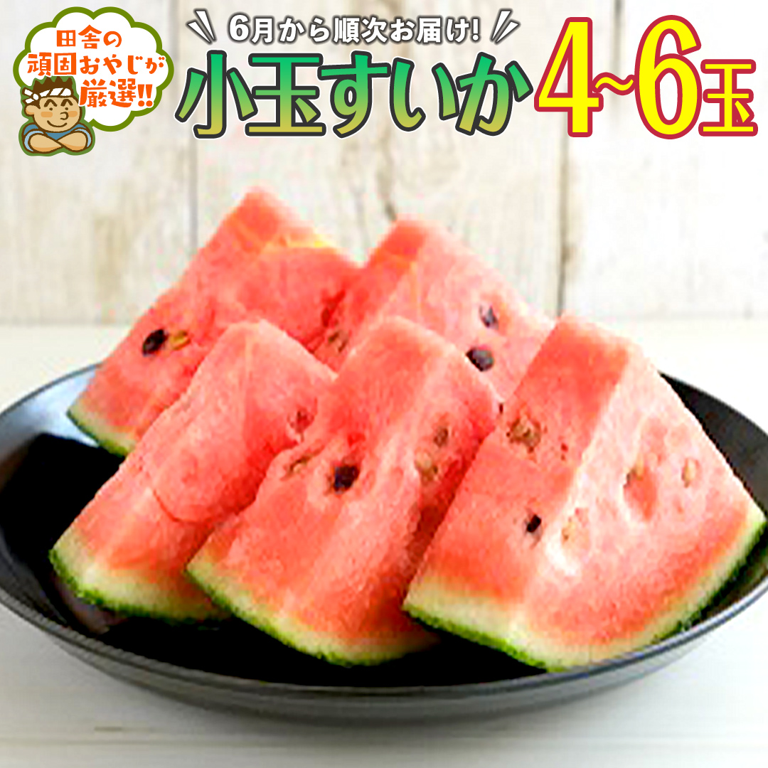 小玉すいか4～6玉【2025年6月より発送開始】田舎の頑固おやじが厳選！ [BI103-NT]
