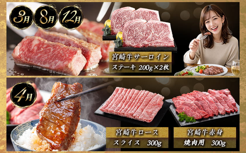 宮崎牛定期便(10ヶ月)〔T120（10）-0103〕