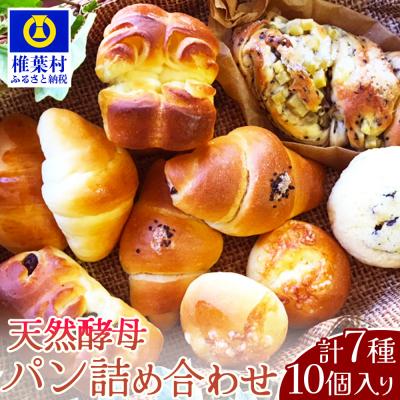 ふるさと納税 椎葉村 【秘境・椎葉村の愛されパン屋さん】天然酵母パン 詰め合わせ 7種10個セット