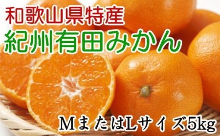 [秀品]和歌山有田みかん　5kg(MサイズまたはLサイズのいずれか) ※2026年11月中旬～2027年1月中旬頃順次発送予定（お届け日指定不可）【tec834B】