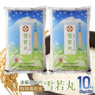 ふるさと納税 鶴岡市 【令和7年産】斎藤農場の特別栽培米 雪若丸 計10kg(5kg×2袋) [K-7120]
