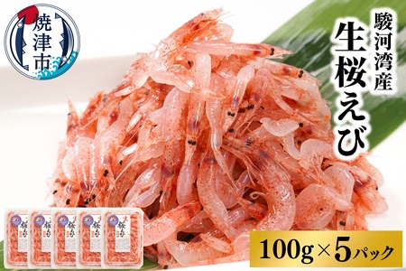 焼津特選 生桜えび 100g×5 (a15-562)