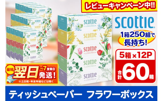 ティッシュペーパー スコッティ フラワーボックス250組 60箱(5箱×12パック) ティッシュ 日用品 最短翌日発送【レビューキャンペーン中】