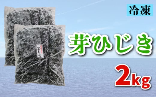 芽ひじき 2kg