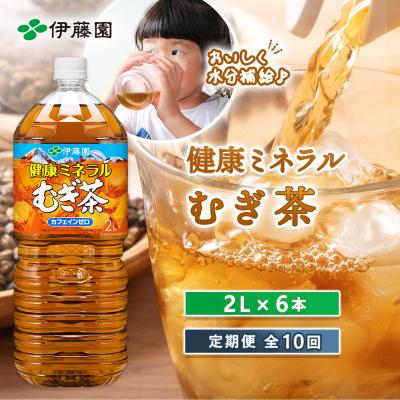 ふるさと納税 恵庭市 『定期便:全10回』健康ミネラルむぎ茶2L×6本【50001301】