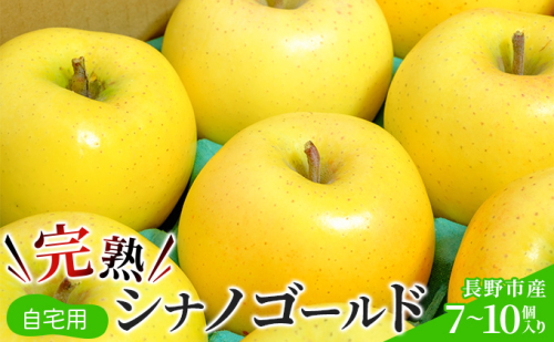 ご自宅用　完熟シナノゴールド 7-10個入り 果物 りんご フルーツ デザート 食後 長野りんご 信州りんご ジューシー 生産者直送