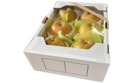 山形市産朝採れ【和梨(幸水)】 6～7玉 約2kg【令和8年産先行予約】FS25-093