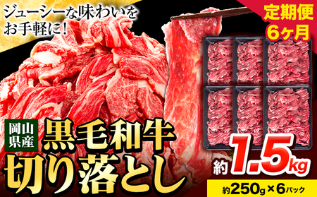 牛肉【6ヶ月定期便】 肉 黒毛和牛 切り落とし 訳あり 大容量 小分け 1.5kg 1パック 250g 定期便《お申込み月翌月から出荷開始》岡山県産 岡山県 笠岡市 お肉 にく カレー 牛丼 切り落し 切落し
