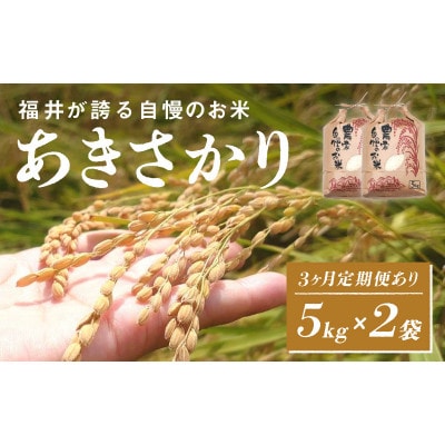 【毎月定期便】あきさかり　5kg×2袋(計10kg)全3回【4072760】