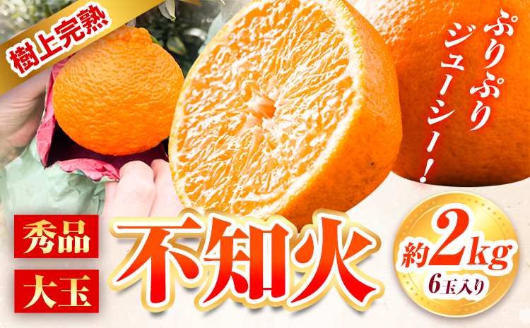 【先行予約】秀品 大玉 不知火 約 2kg 6玉 道の駅 くしがきの里《2027年2月末-3月末頃出荷》 和歌山県 日高町 果物 フルーツ 柑橘 蜜柑 柑橘類 旬 しらぬいst-p