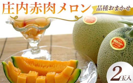 《2025年 先行予約》 庄内メロン 2玉入 赤肉 品種おまかせ メロン フルーツ 果物 FSY-2071