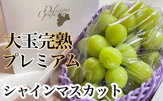 【令和8年発送・先行予約】大玉 特選 シャインマスカット 800g（ぶどう ブドウ シャインマスカット シャイン マスカット フルーツ 果物 くだもの 旬 先行受付 2026 産地直送 限定）