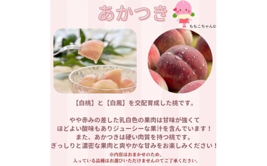 南信州産「桃」あかつき/なつっこ 約5kg 8～12玉 品種おまかせ＜2027年7月下旬より発送＞
