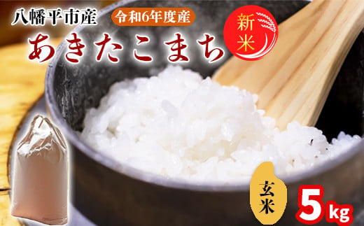 
【2024年11月発送開始】 令和6年産 新米 岩手県産 あきたこまち 玄米 5kg ／ 米 産地直送 農家直送 【中沢農産】
