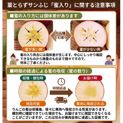 11-12月 蜜入り時期に厳選 発送! 青森県産 りんご 訳あり 葉とらずサンふじ 家庭用 約3kg【配送不可地域：沖縄県】