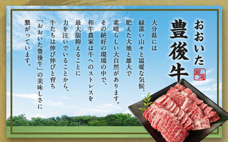 【大分県産】 豊後牛 焼肉用 カルビ 切り落とし 約5kg (約500g×10パック) 牛肉 中落ち