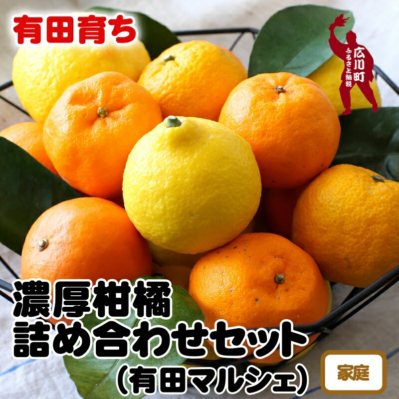【ふるさと納税】【先行予約】 有田育ちの旬の 柑橘 詰め合わせ セット (ご家庭用)　※2026年1月中旬～2026年4月下旬に順次発送 ※北海道・沖縄・その他離島地域は発送不可 / みかん くだもの 晩柑 果実 蜜柑 柑橘 果物 フルーツ 国産 和歌山県 有田 //hassaku