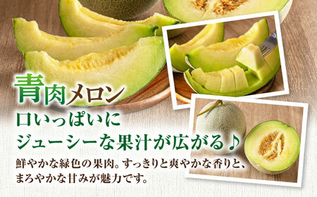 【2026年7月下旬以降順次発送】【ニセコ町産】 赤肉＆青肉メロンセット 大玉2玉 《喜茂別町》【ニセコビュープラザ直売会協同組合】 メロン 化粧箱入り フルーツ 果物 赤肉 先行予約 常温 常温配送