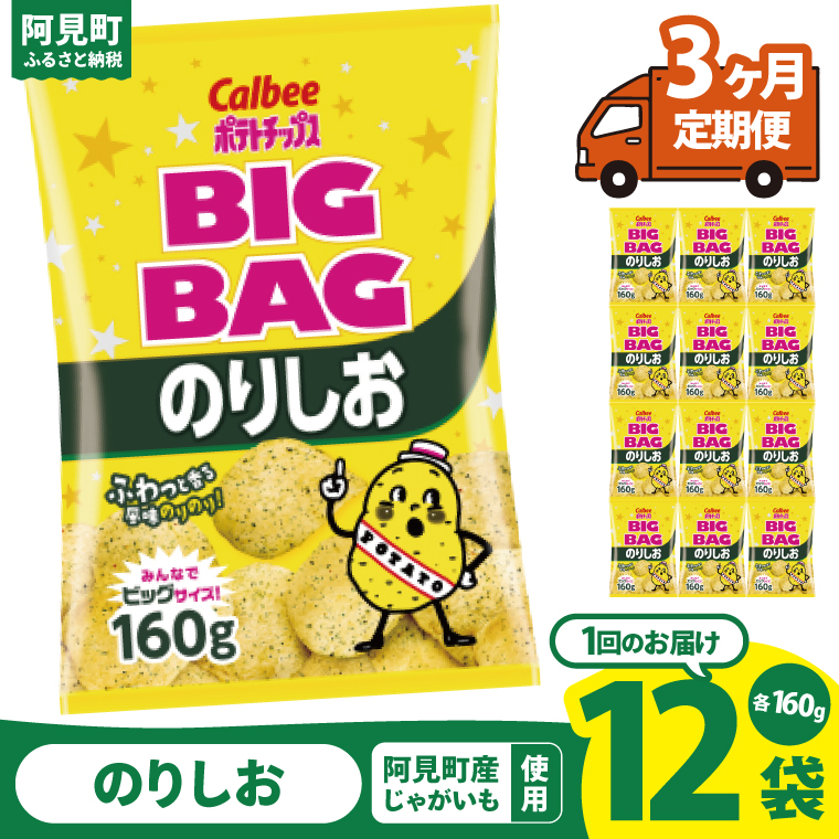 【3ヶ月定期便】カルビー ポテトチップス のりしお BIGBAG（160g）×12個｜Calbee お菓子 菓子 おやつ おかし ぽてち ポテチ スナック おつまみ ジャガイモ じゃがいも（93-62）