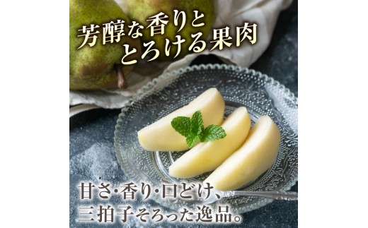 ≪先行受付≫ラフランス 5kg 14個～20個【2026年11月上旬～順次発送予定】