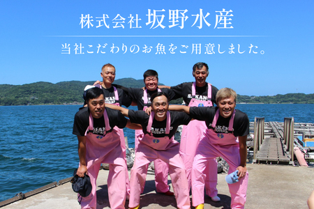 ぶり 刺身 平戸なつ香 ブリ 半身 約1.5kg [（株）坂野水産 長崎県 平戸市 hr42bgy420066]