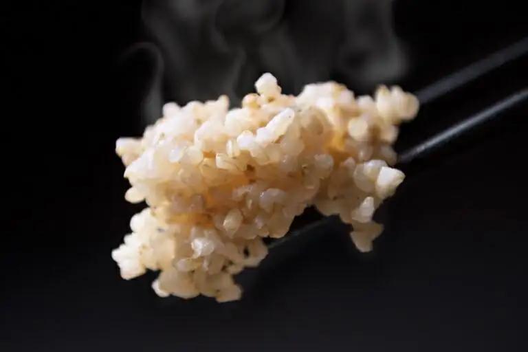 【令和7年】【玄米】自然農法/化学肥料不使用の南魚沼産こしひかり5kg | こしひかり