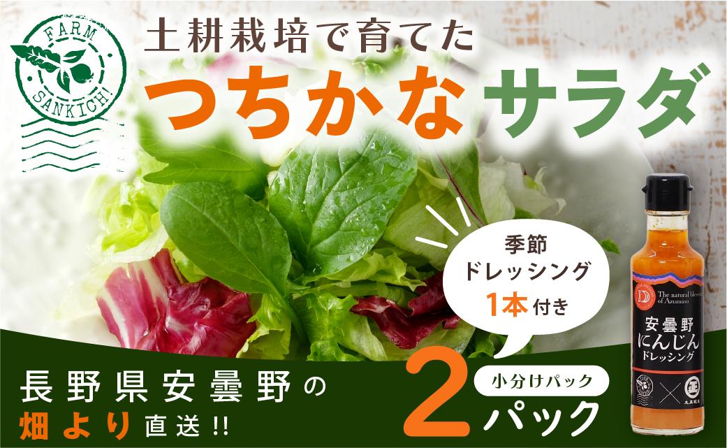 
            サラダミックスとドレシングのセット （小） 【数量限定！】
          