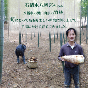 冷凍 白子京筍 石清水 1本 4kg たけのこ 国産たけのこ 幻の白子たけのこ たけのこ丸ごと一本 京都辻農園のたけのこ